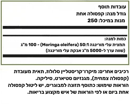 Moringa+ - פתרון מתקדם לחיזוק ושיקום המעיים ומערכת העיכול